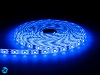 Taśma LED SMD PRO 3528 300 diod/5m 12V 24W wodoodporna IP61 - niebieska - 5m