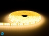 Taśma LED SMD PRO 3528 600 diod/5m 12V 48W wodoodporna IP61 - biała ciepła - 5m