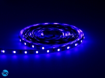 Taśma LED SMD PRO 2835 300 diod/5m 12V 60W - ultrafioletowa UV - 5m