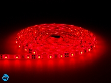 Taśma LED SMD PRO 3528 300 diod/5m 12V 24W wodoodporna IP61 - czerwona - 5m