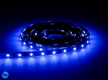 Taśma LED SMD PRO 3528 300 diod/5m 12V 24W - niebieska - 5m
