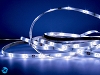 Taśma LED SMD PRO 3528 30 diod/m 12V 2,4W wodoodporna IP61 - biała zimna - 1m