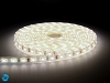Taśma LED SMD PRO 3528 300 diod/5m 12V 24W wodoodporna IP67 - biała neutralna - 5m