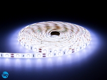 Taśma LED SMD PRO 3528 300 diod/5m 12V 24W wodoodporna IP61 - biała zimna - 5m